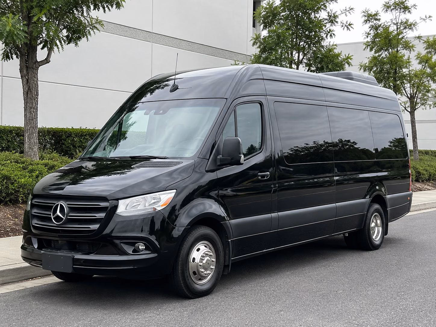 norfolk 10 passenger sprinter van